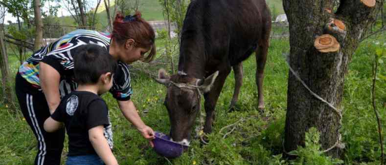 Совместный вебинар ФАО и ВОЗ по безопасности пищевых продуктов и «Единому здоровью»